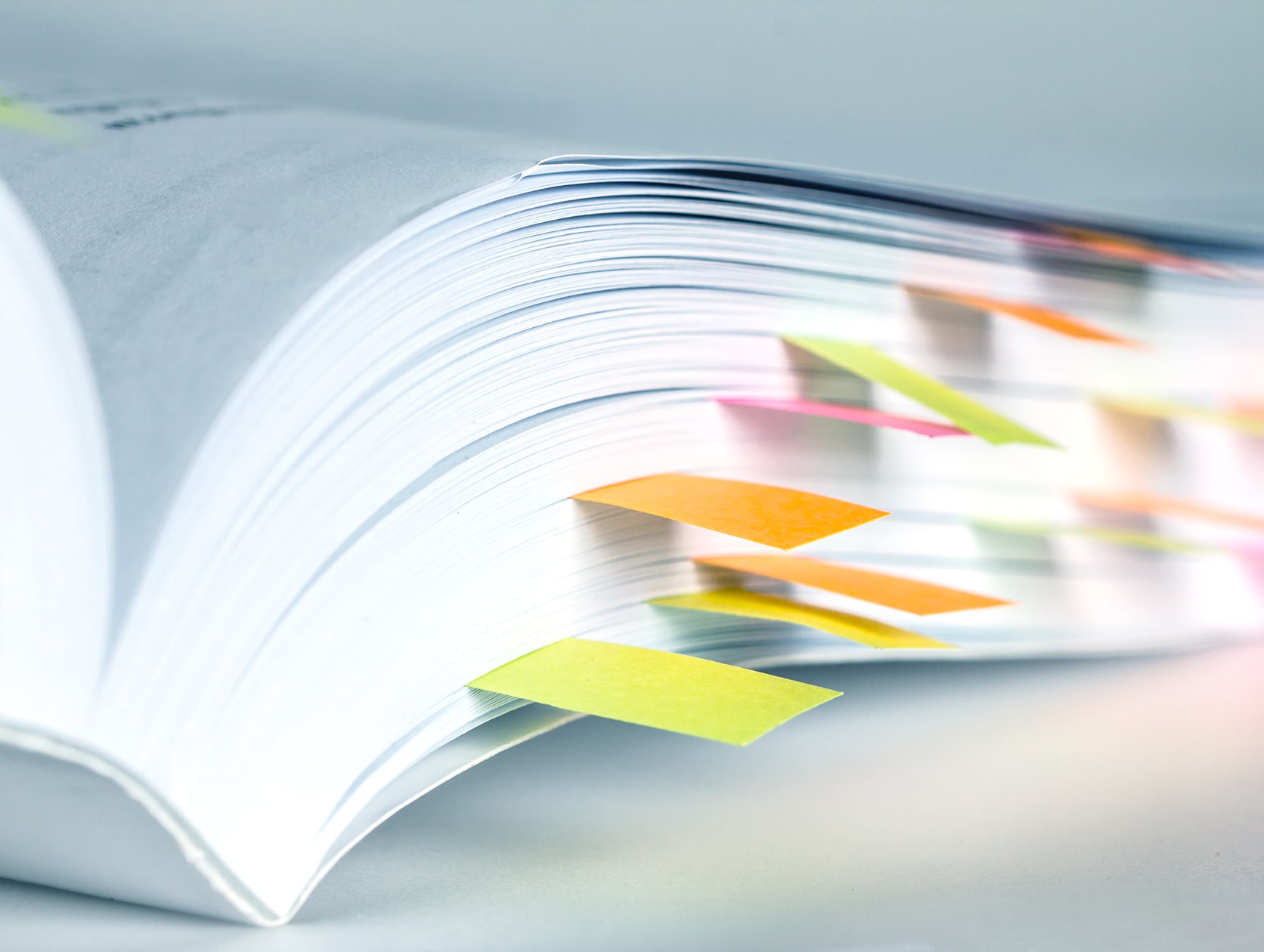 Employment Manuals and Workplace Policies