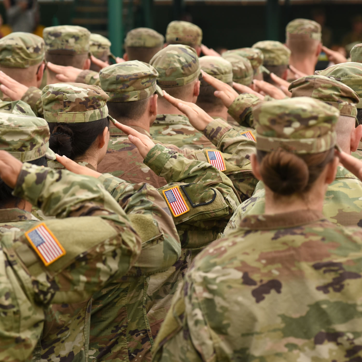 Veteran Benchmark Won't Change Until 2016 for Calendar-Year Plans