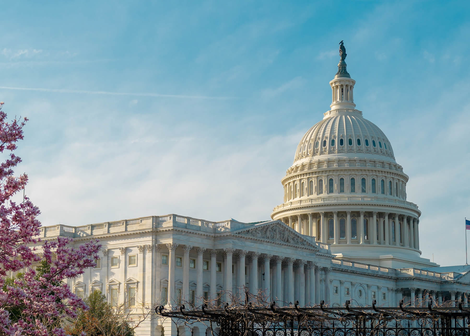 Webinar - Overview of Executive Order 14398 (Addressing DEI Discrimination by Federal Contractors)